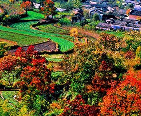 合肥到塔川旅游
