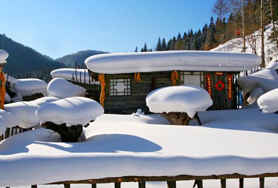 合肥到雪乡旅游