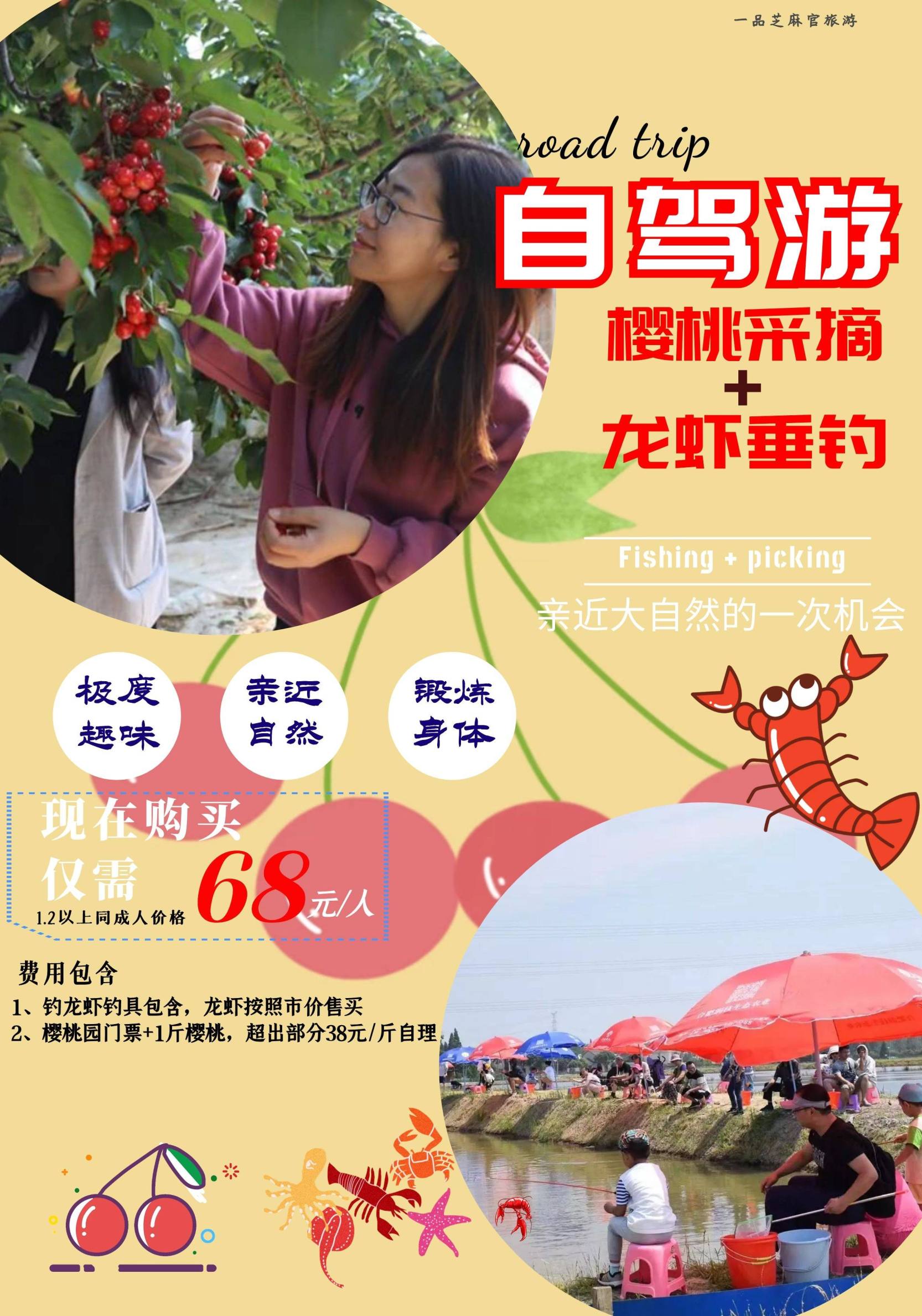 合肥到樱桃采摘旅游