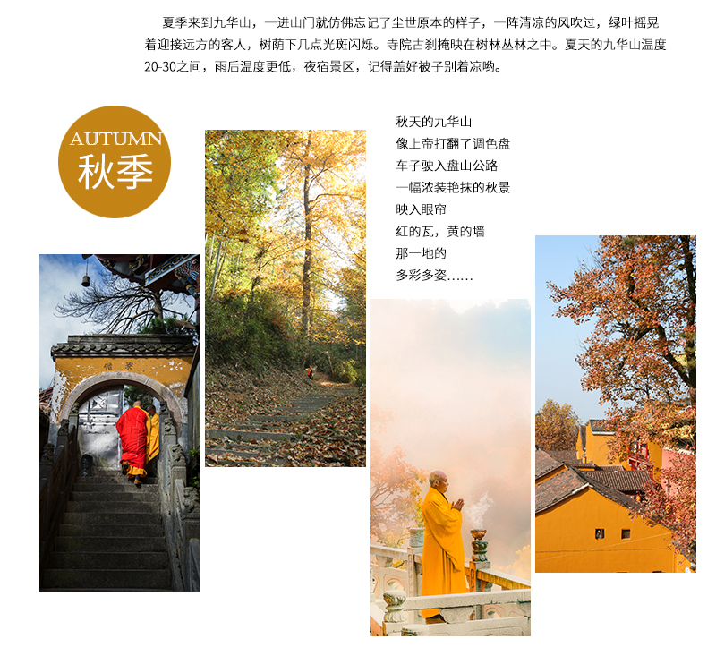 合肥秋季到九华山旅游