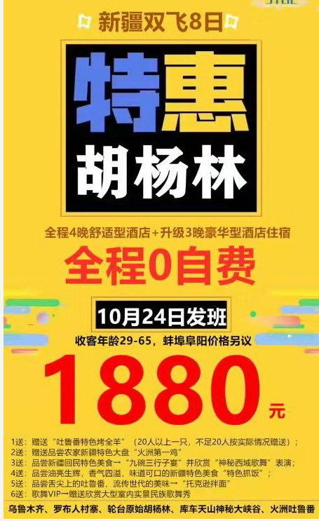 合肥到胡杨林旅游